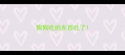狗狗吃的东西吐了