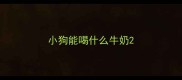 小狗能喝什么牛奶