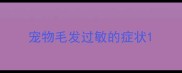 宠物毛发过敏的症状