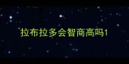 拉布拉多会智商高吗