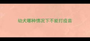 幼犬哪种情况下不能打疫苗