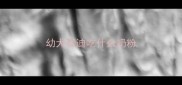 幼犬泰迪吃什么奶粉