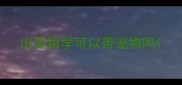 出国留学可以带宠物吗