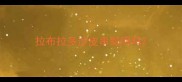 拉布拉多沙皮串聪明吗