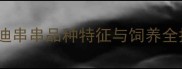 泰迪串串多少钱泰迪串串品种特征与饲养全指南附价格参考