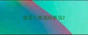 家养小泰迪好养活