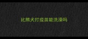比熊犬打疫苗能洗澡吗