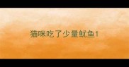 猫咪吃了少量鱿鱼