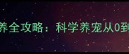 新手必看哈士奇幼犬喂养全攻略科学养宠从0到1养成健康活泼的毛孩子