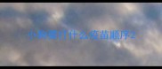 小狗要打什么疫苗顺序