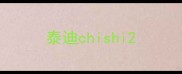 泰迪chishi