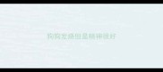 狗狗发烧但是精神很好