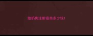 给奶狗注射疫苗多少钱