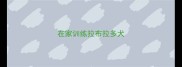 在家训练拉布拉多犬