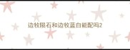 边牧陨石和边牧蓝白能配吗