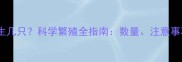 哈士奇一胎能生几只科学繁殖全指南数量注意事项与饲养要点