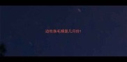 边牧换毛期是几月份