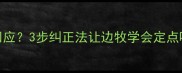 边境牧羊犬乱叫不回应3步纠正法让边牧学会定点呼唤附训练视频