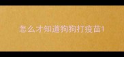 怎么才知道狗狗打疫苗