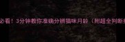 新手必看3分钟教你准确分辨猫咪月龄附超全判断指南