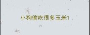 小狗偷吃很多玉米