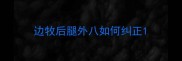 边牧后腿外八如何纠正