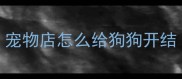 宠物店怎么给狗狗开结
