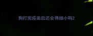 狗打完疫苗后还会得细小吗