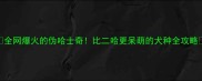 全网爆火的伪哈士奇比二哈更呆萌的犬种全攻略