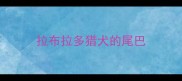 拉布拉多猎犬的尾巴