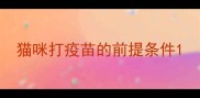 猫咪打疫苗的前提条件
