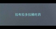 拉布拉多拉稀吃药