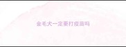 金毛犬一定要打疫苗吗