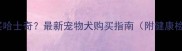 海口哪里买哈士奇最新宠物犬购买指南附健康检查清单