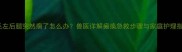 金毛左后腿突然瘸了怎么办兽医详解瘫痪急救步骤与家庭护理指南