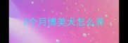 2个月博美犬怎么养