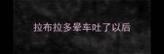 拉布拉多晕车吐了以后