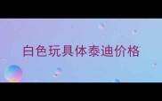 白色玩具体泰迪价格