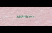 宠物狗排行榜2017