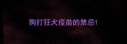 狗打狂犬疫苗的禁忌