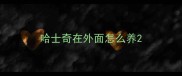 哈士奇在外面怎么养
