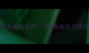 边牧教拉屎撒尿的5大黄金法则3周养成定点排泄习惯保姆级教程