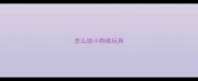 怎么给小狗做玩具