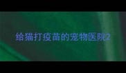 给猫打疫苗的宠物医院