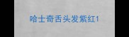 哈士奇舌头发紫红