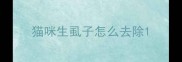 猫咪生虱子怎么去除