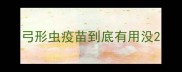 弓形虫疫苗到底有用没