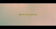 猫咪用汽车托运安全吗