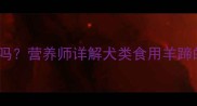 拉布拉多能吃羊蹄吗营养师详解犬类食用羊蹄的五大要点与风险