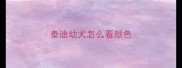 泰迪幼犬怎么看颜色